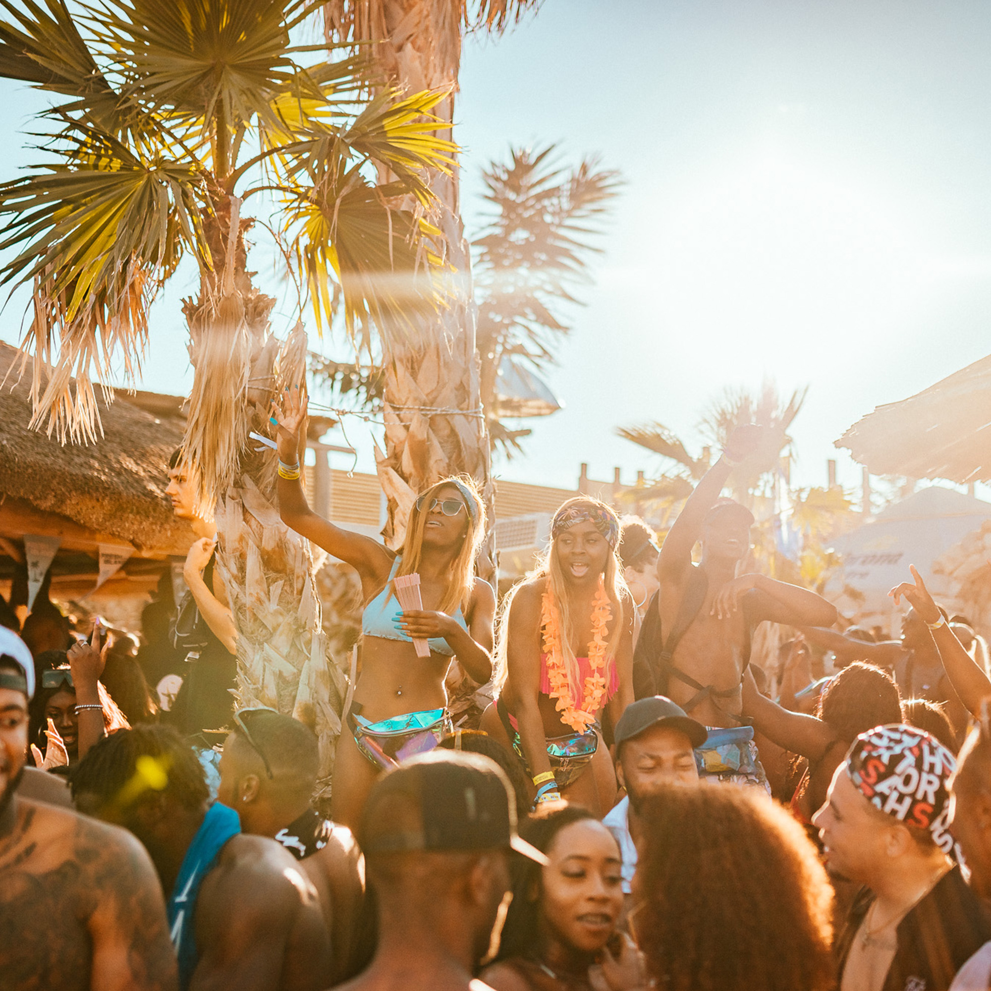 Fresh Island — photo 03