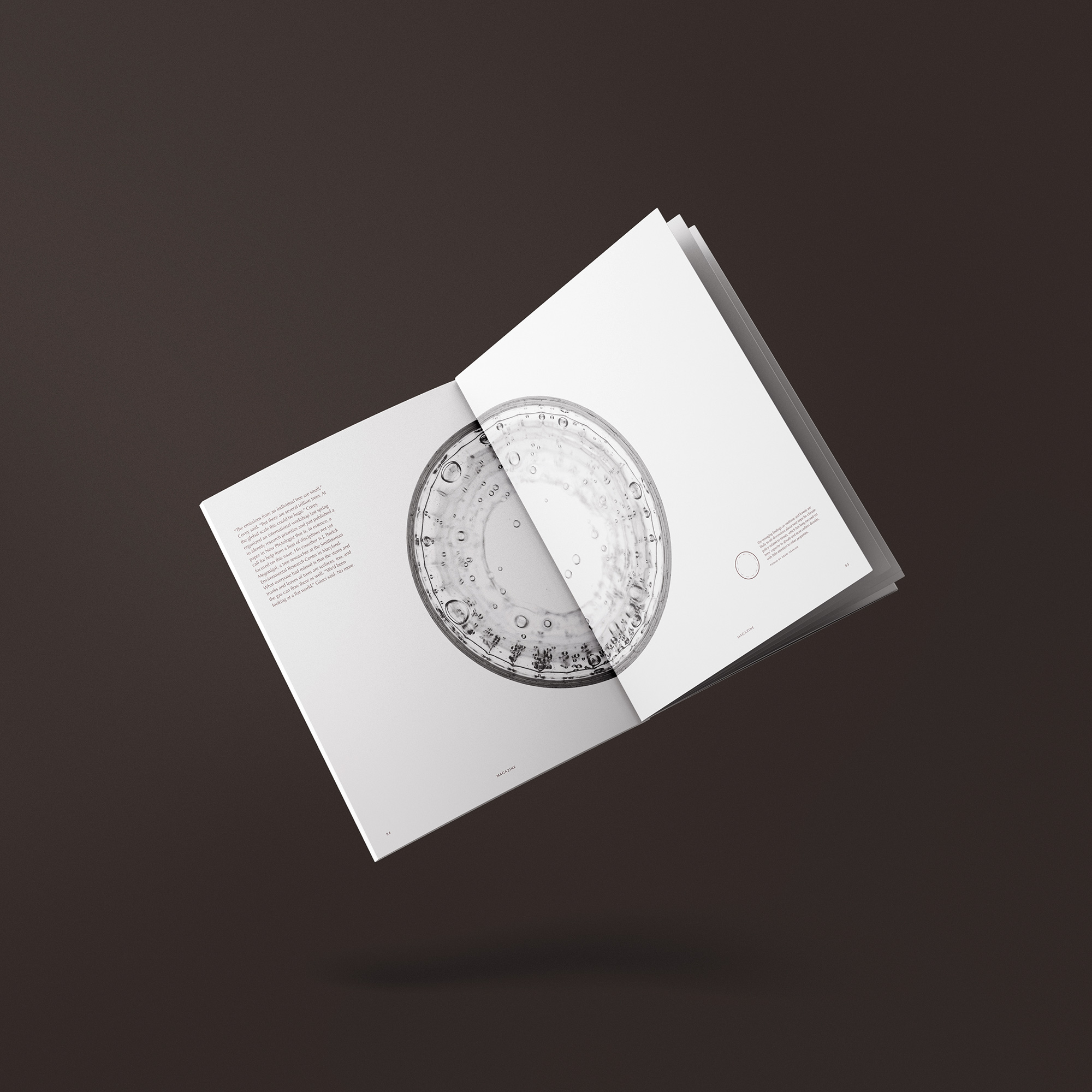The Dial — US Letter Floating Brochure Mockupa