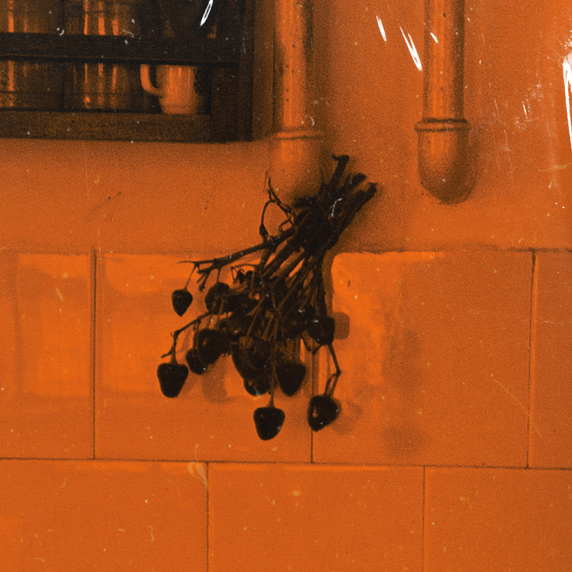 Anteek Recipes — Dirty Hairy AR 02