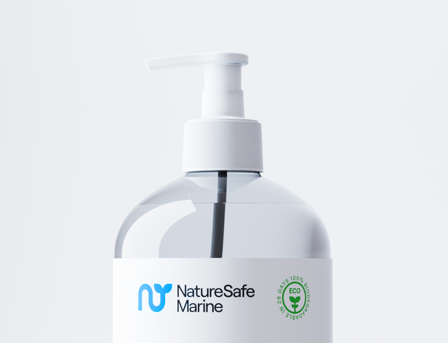 NSM 2
