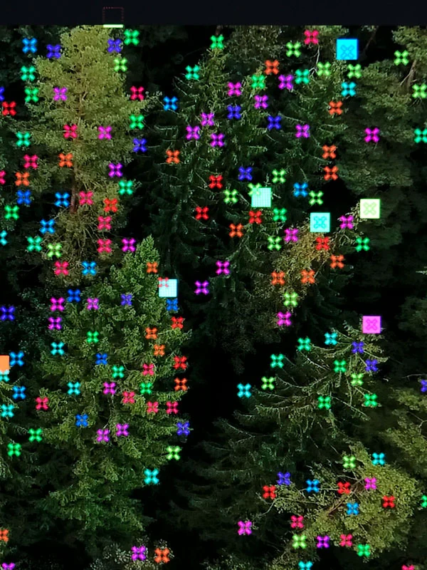 RUDAS