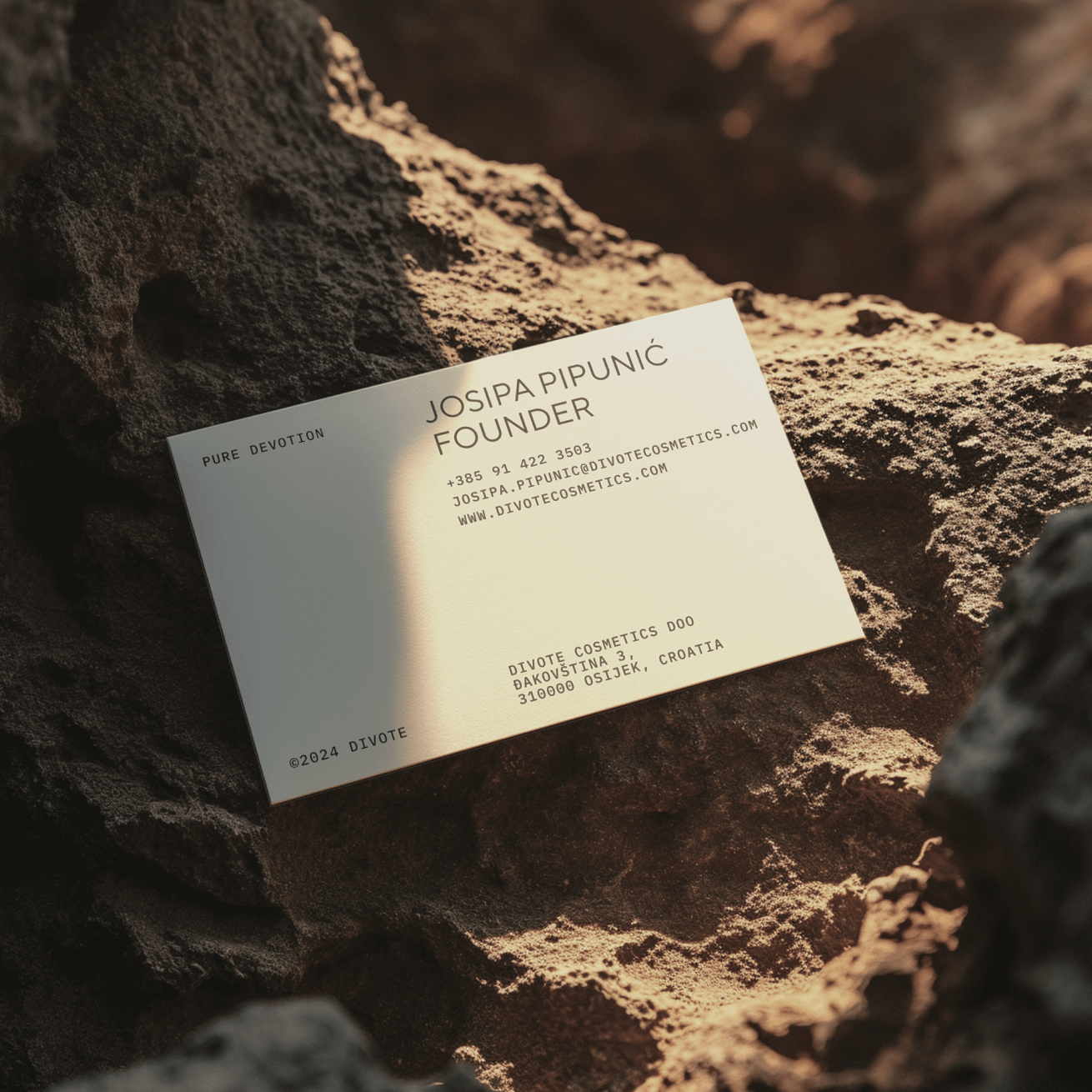 Divote — image 13