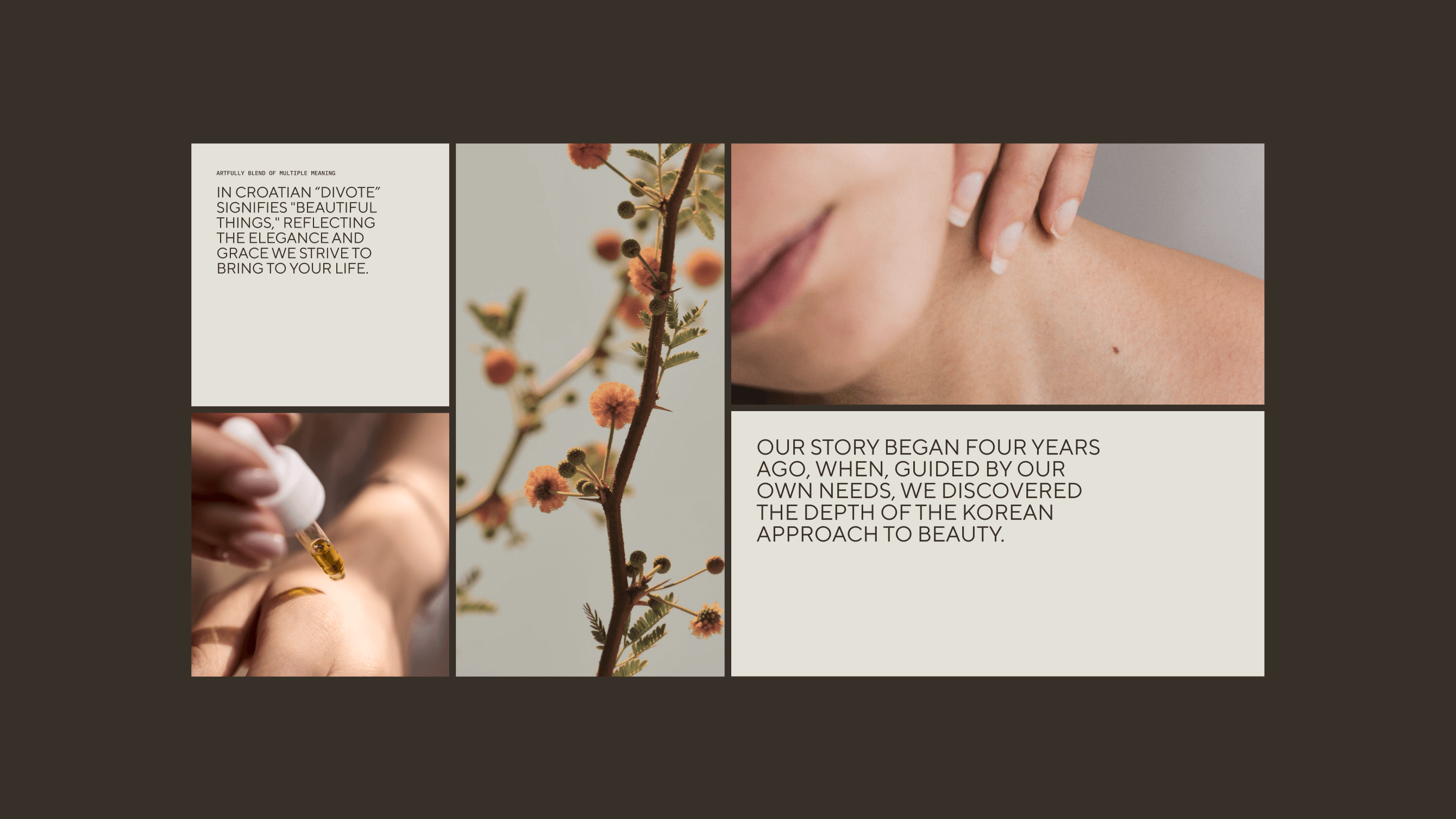 Divote — image 2